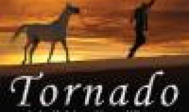 הסוס טורנדו ולוחש לסוסים מקלאהרי כתובית | Tornado And The Kalahari Horse Whisperer Subtitle