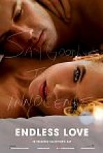 אהבת בוסר / אהבה אינסופית כתובית | Endless Love Subtitle