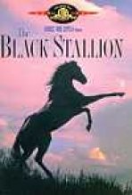 הסייח השחור כתובית | The Black Stallion Subtitle