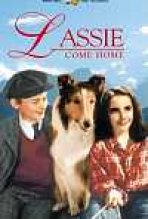 לאסי שובי הביתה כתובית | Lassie Come Home Subtitle