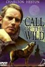 קול הפרא כתובית | The Call Of The Wild Subtitle