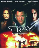 הזר כתובית | The Stray Subtitle