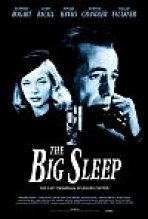 התרדמה הגדולה כתובית | The Big Sleep Subtitle