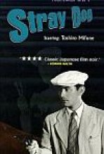 כלב משוטט כתובית | Stray Dog Subtitle