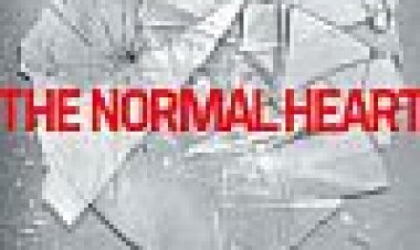 הלב הרגיל כתובית | The Normal Heart Subtitle