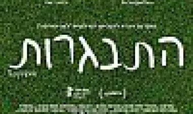 התבגרות כתובית | Boyhood Subtitle
