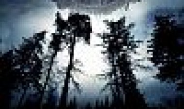 מעבר כתובית | Beyond Subtitle