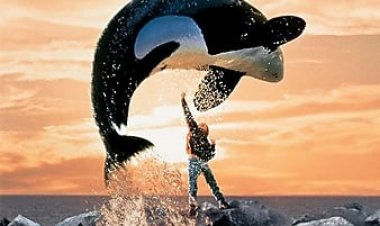 לשחרר את ווילי כתובית | Free Willy Subtitle