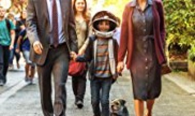 פלא כתובית | Wonder Subtitle