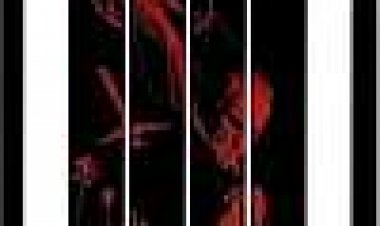 הקשר האנגלי כתובית | The Limey Subtitle