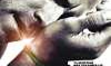 התשעיות כתובית | The Nines Subtitle