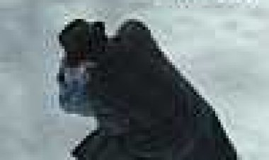 קארדיאה כתובית | Kardia Subtitle