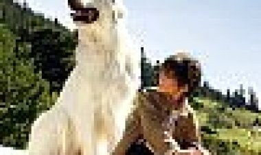 בל אנד סבסטיאן: ההרפתקה ממשיכה כתובית | Belle & Sebastian: The Adventure Continues Subtitle