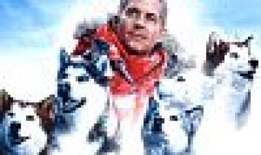 8 מתחת לאפס כתובית | Eight Below Subtitle