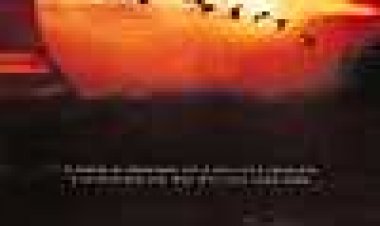 לעוף כל הדרך הביתה כתובית | Fly Away Home Subtitle