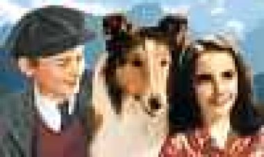 לאסי שובי הביתה כתובית | Lassie Come Home Subtitle