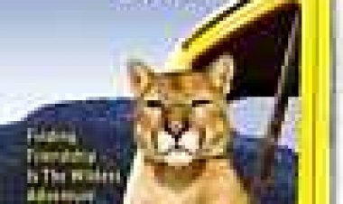 צ'ארלי, הפומה הבודד כתובית | Charlie, The Lonesome Cougar Subtitle