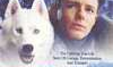 המנצח לוקח הכל כתובית | Iron Will Subtitle