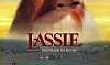 לאסי כתובית | Lassie Subtitle