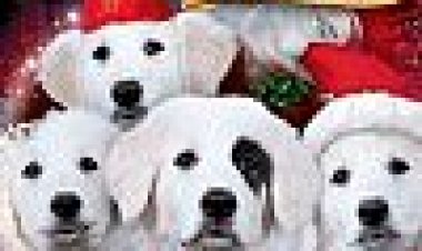 סנטה כפות 2: סנטה Pups כתובית | Santa Paws 2: The Santa Pups Subtitle