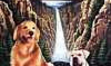 המסע המופלא הביתה כתובית | Homeward Bound Subtitle