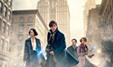 חיות הפלא והיכן למצוא אותן כתובית | Fantastic Beasts And Where To Find Them Subtitle