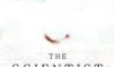 המדען כתובית | The Scientist Subtitle