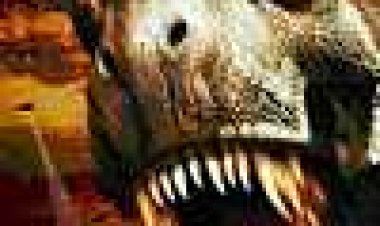 נוסחת גן עדן כתובית | The Eden Formula Subtitle