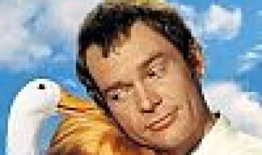 הברווז השווה מיליון כתובית | The Million Dollar Duck Subtitle