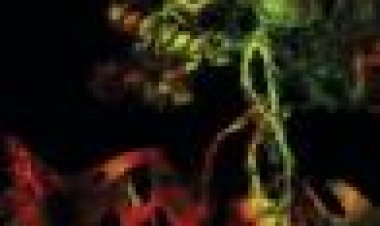 אודסק כתובית | Oddsac Subtitle