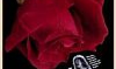 רוז כתובית | The Rose Subtitle