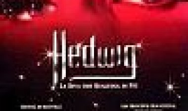 הדוויג והשארית העצבנית כתובית | Hedwig And The Angry Inch Subtitle