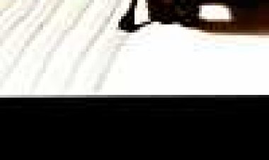 השקט שלפני באך כתובית | The Silence Before Bach Subtitle