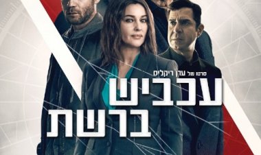 עכביש ברשת כתובית | Spider in the Web Subtitle