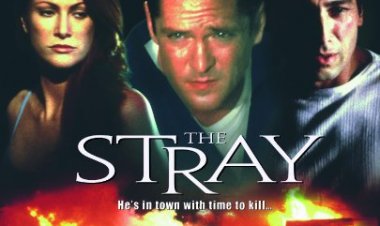 הזר כתובית | The Stray Subtitle