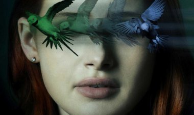 תועה באפלה כתובית | Sightless Subtitle