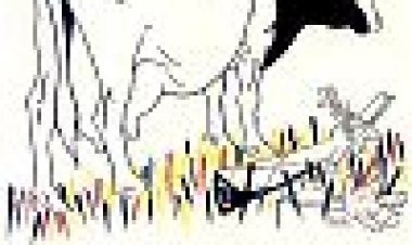 פרות כתובית | Vacas Subtitle