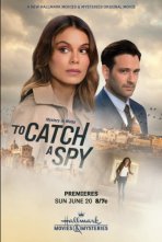 חופשת ריגול כתובית | To Catch a Spy Subtitle