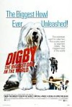 דיגבי, הכלב הגדול ביותר בעולם כתובית | Digby, The Biggest Dog In The World Subtitle