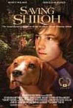 להציל את שיילו כתובית | Saving Shiloh Subtitle