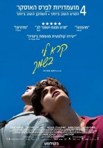 קרא לי בשמך כתובית | Call Me by Your Name Subtitle