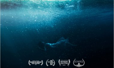 משפיענית כתובית | Influencer Subtitle