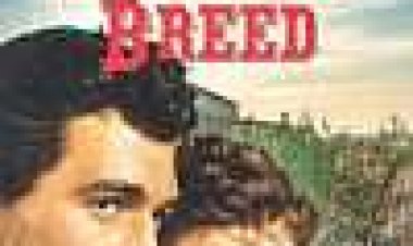 זן לא חוקי כתובית | The Lawless Breed Subtitle