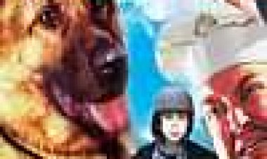 הרפתקאותיו של הכלב רין טין טין כתובית | Finding Rin Tin Tin Subtitle