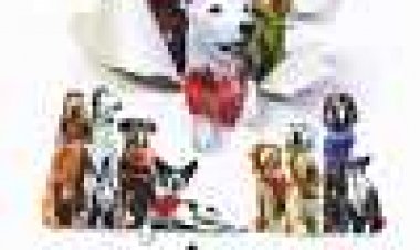 Daniel and the Superdogs 2004 כתובית | Daniel And The Superdogs Subtitle