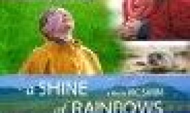 ברק של קשתות כתובית | A Shine Of Rainbows Subtitle