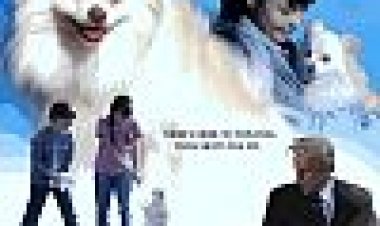 קוויגלי כתובית | Quigley Subtitle