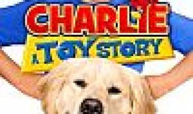 צ'רלי: סיפור צעצוע כתובית | Charlie: A Toy Story Subtitle