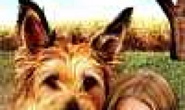 ווין-דיקסי כתובית | Because Of Winn-Dixie Subtitle