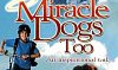 כלבים מופלאים 2 כתובית | Miracle Dogs Too Subtitle